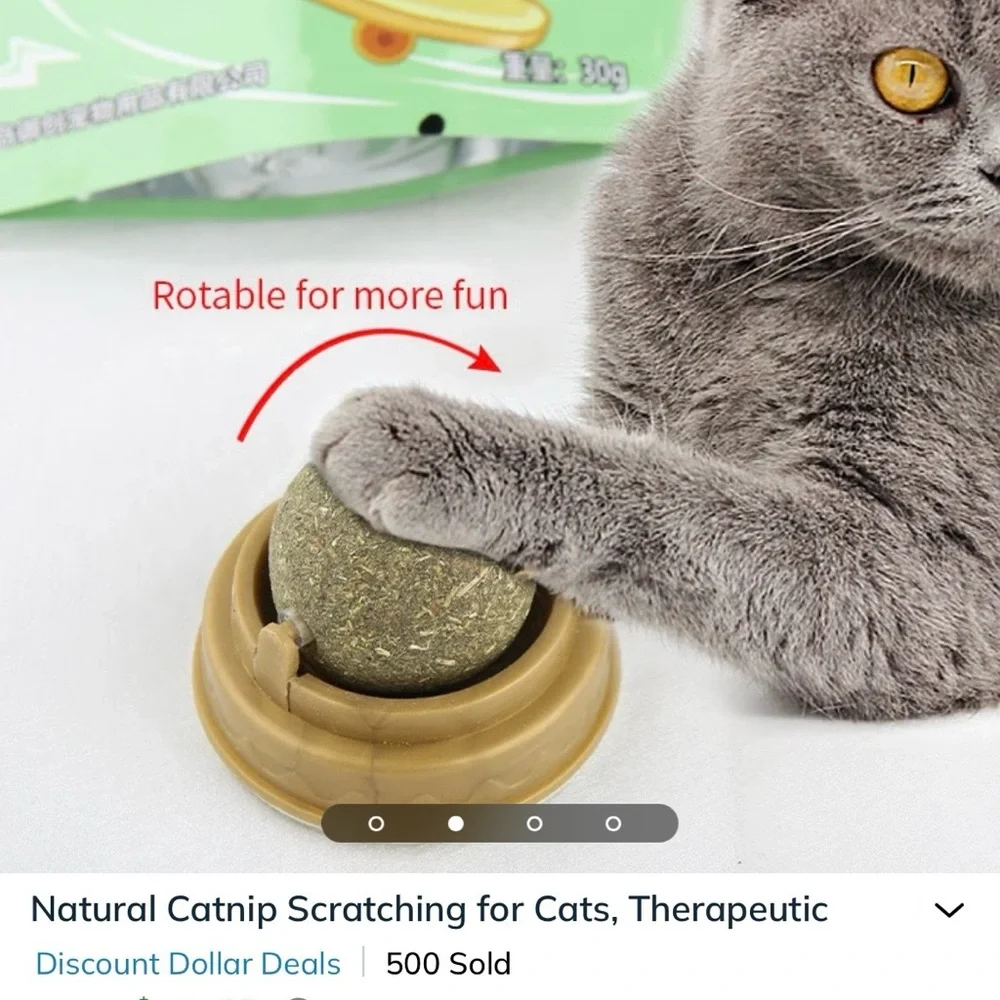 🟢 😸 Catnip Cat Licking Green Ball